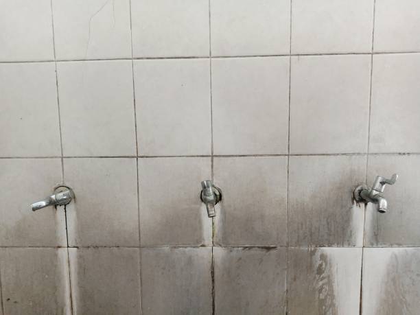 Best Water damage cleanup near me  in Bryan, TX