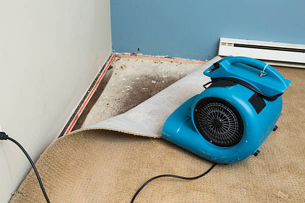 Best Commercial water damage restoration  in Bryan, TX